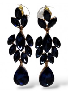 Fashion Earrings